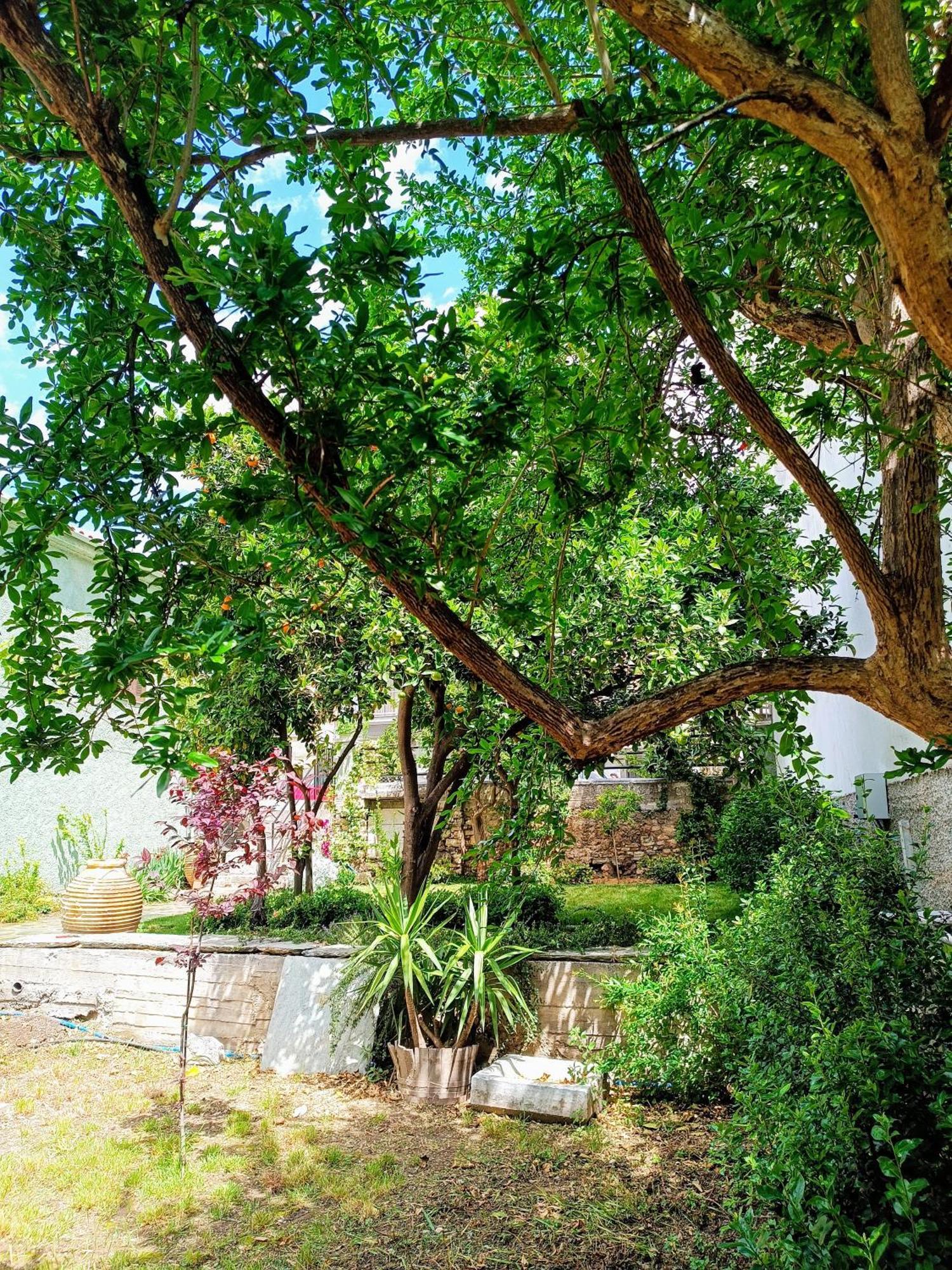 Betty'S Garden House Villa Nea Anchialos Room photo